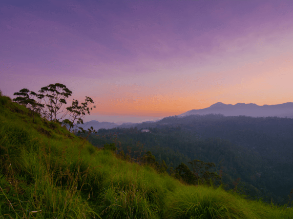 Sri Lanka 