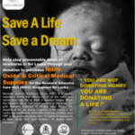 Save A Dream 2022 End of Year Report