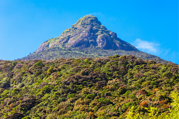 Adam's Peak Sri Lanka 
