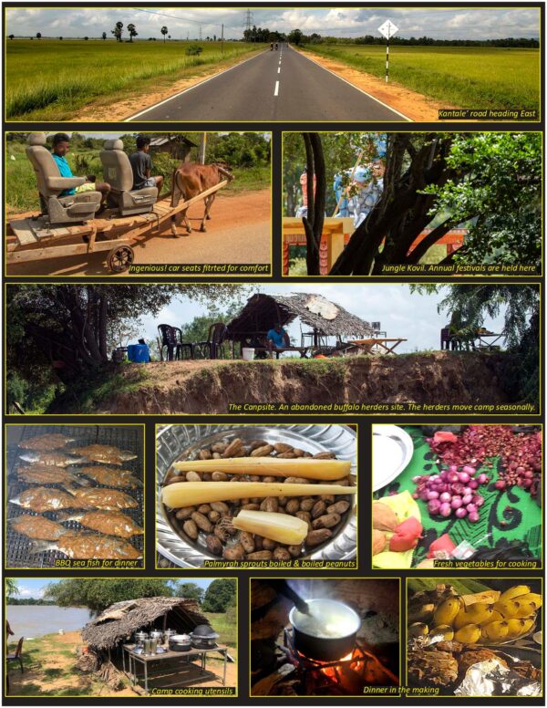 Camping on the banks of the Mahaweli and Pidurangala sunrise – photo by Stefan D'silva