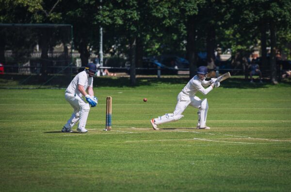 Cricket