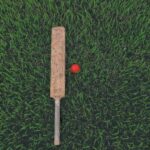 Cricket