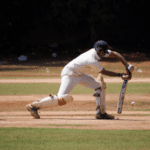 Cricket