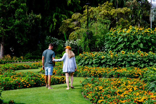 Gampaha henarthgoda Botanical Garden – By Malsha – eLanka