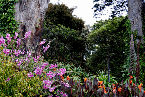 Gampaha henarthgoda Botanical Gardens