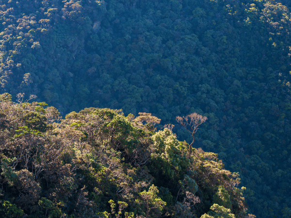 Horton Plains National Park