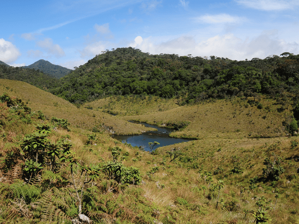 Horton Plains National Park