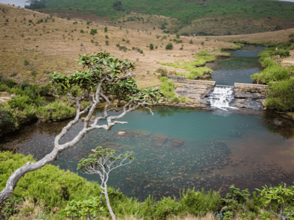 Horton Plains National Park