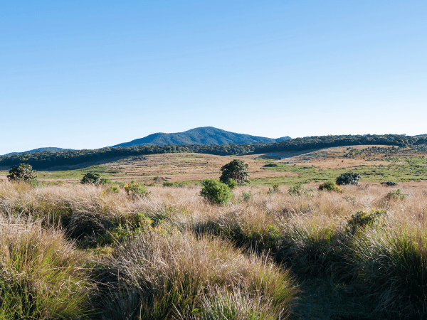 Horton Plains National Park