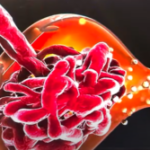 Significance of the eGFR test