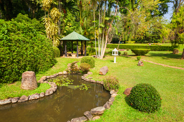 peradeniya botanical garden