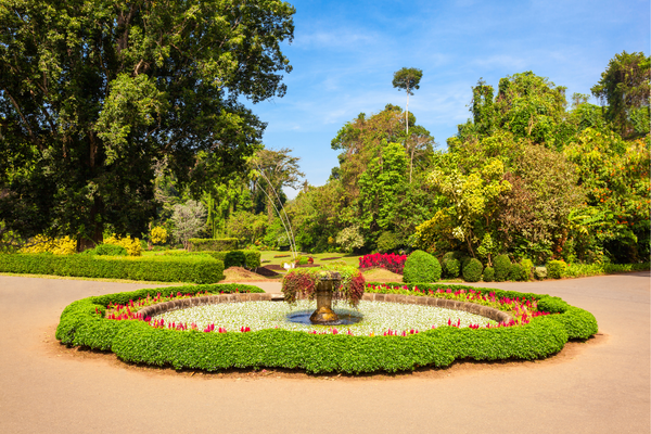 peradeniya botanical garden