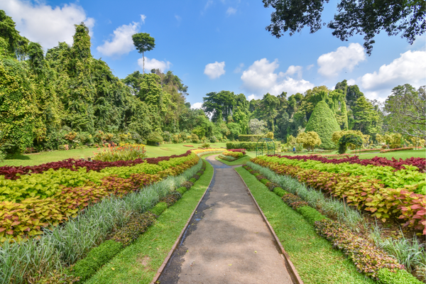 peradeniya botanical garden – By Malsha – eLanka