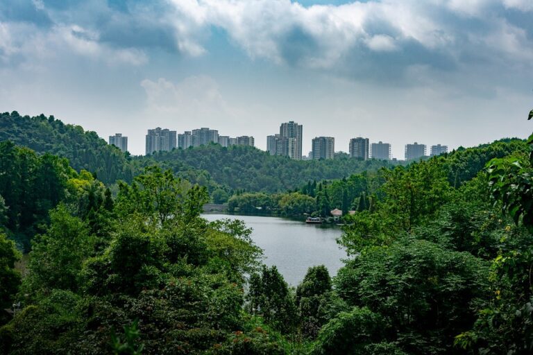 Urban Wetlands Breathe Life in to the City
