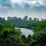 urban wetlands