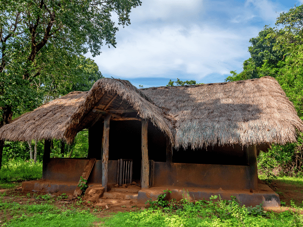 Lesser-known Forest Dwellers of Rathugala – By Arundathie Abeysinghe