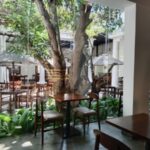 The DBU has undergone significant renovation, since I last visited a decade or more ago. In other words, a renaissance. May I say, a not so elegant duckling has evolved into a beautiful graceful swan. The present architecture and the ambiance truely reflects the period reminscent of the colonial Dutch period in Ceylon. The local architect and the project manager deserve to be applauded for their outstanding work. From my observations of the DBU it is a thriving, well patronised boutique hospitality venue in Colombo and growing in popularity. Lunch times are particularly busy. The complex consists of two floors. The ground floor where a small a cafe serves love, chocolate, jaggery cakes, and typical Burgher short eats. Customary beverages are available. My pièce de résistance is the tall, glass of cold, home made Ginger Beer and the authentic Dutch Burgher, Lamprai wrapped in real banana leaf. An alfresco food court surrounded by tropical greenery and an undercover L shaped dining area. I observed many patrons in neat casual summery attire either in the cafe, courtyard or dining area. On Saturdays from 7.00 pm a buffet dinner is provided with soft live back ground piano music, the evergreen classics of the 60s era such the music of Nat King Cole, Pat Boone and Johny Mathis. This establishment is dissimilar to other comparable venues in the heart of Colombo. It is enjoyable, relaxing, peaceful with an old world charm. The second floor consists of a spacious area with a number of small modular lounges, small bar, and well furnished area for formal business meetings and conferences. It also has a small alfresco area. A large Mango tree draws your attention where ever you are. Limited number of single and double bed rooms with modern on-suite facilities are available at present, with more being gradually introduced. The facilities on the 2nd floor are reserved for members of the DBU only. The DBU has a policy of inclusiveness and does not intend to restrict membership. However there is a protocol for becoming a member. Mr. David Colin - Thome is the President of the DBU.