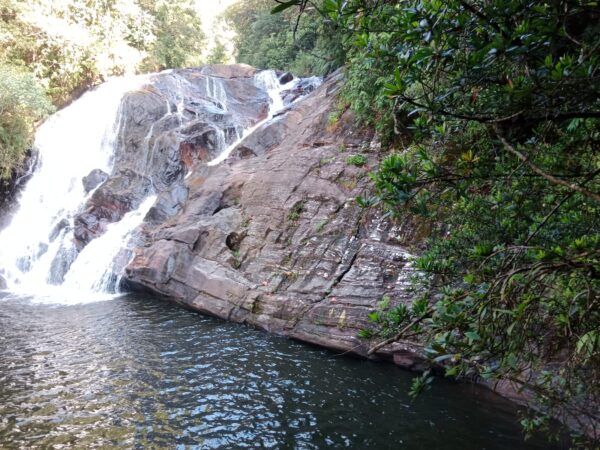 He comes from Pitigala not Jaffna – by Joe Paiva | elanka