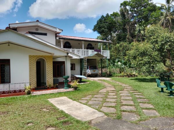 He comes from Pitigala not Jaffna – by Joe Paiva (13) | elanka