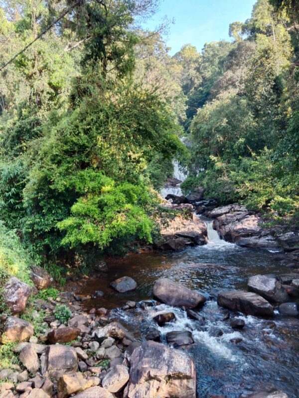 He comes from Pitigala not Jaffna – by Joe Paiva | elanka