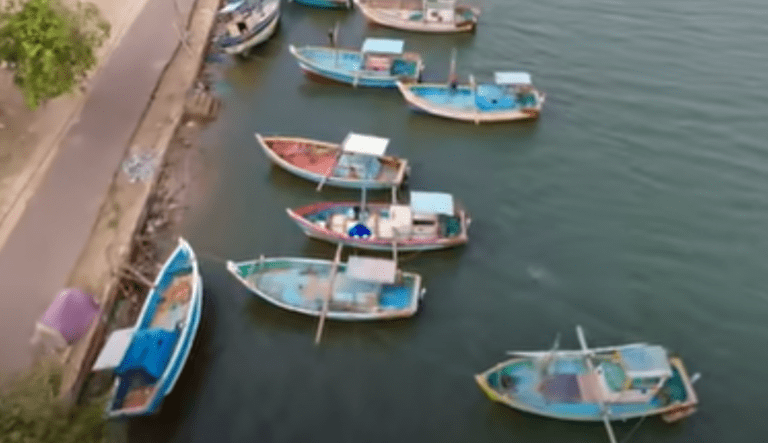 Extreme Sri Lanka! Jaffna Food and the Neck Bulge Tamils!!