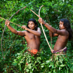 Situlpauwa