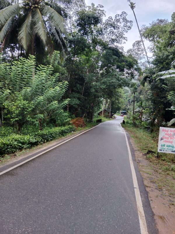 Matara, Sri Lanka 11.00 pm on 1st April 2023 - Moon lighting