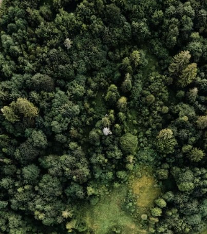 Mother Nature