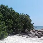 Pigeon Island