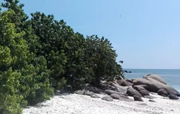 Pigeon Island