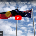 ‘You’ve been misled’: ‘Real agenda’ of the Voice exposed ‘in a brawl’