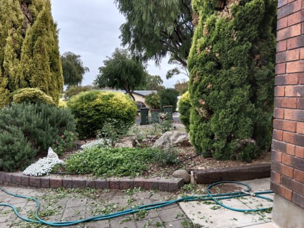 Rubbish Collection System Adelaide, Australia – by Joe Paiva