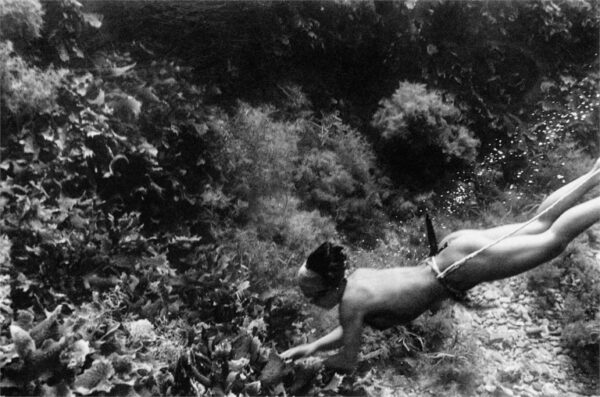 අමා ළදුන්- ජපන් සමුදුර කිමිදෙන කිදුරියෝ , ( Japanese pearl divers ) - By Dr. Gamini Kariyawasam - elanka