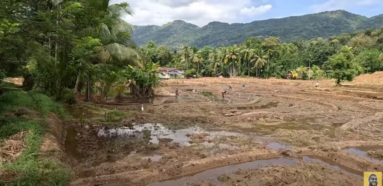 Are Villagers Honest In Sri Lanka?