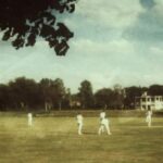 Cricket