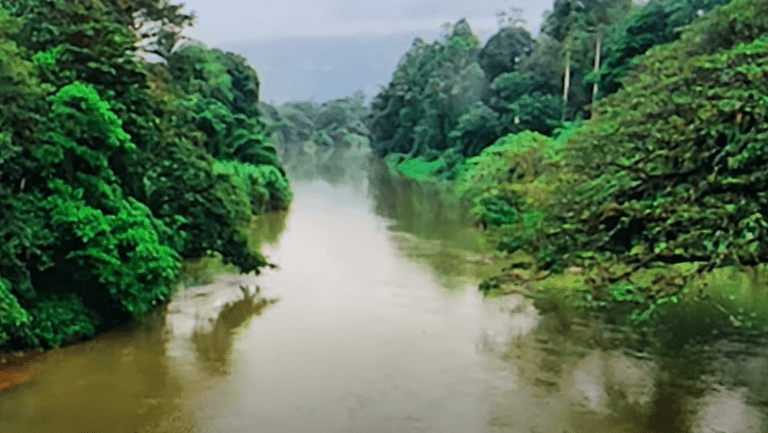 State of the Art-Auto workshop in Kundasale, Kandy –  Dr harold Gunatillake