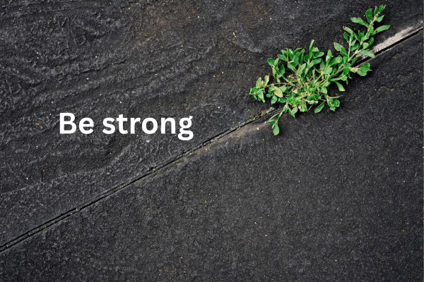 Be strong - elanka