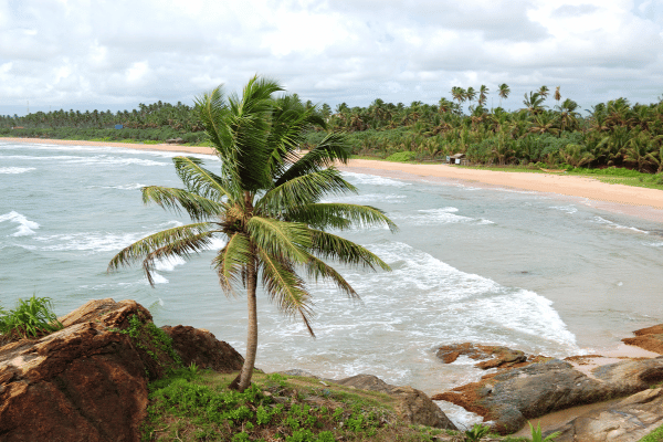 Popular tourist destination located in Galle District Sri Lanka ‘ Bentota ‘ – By Malsha – eLanka
