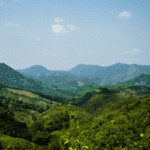 Knuckles Mountain Range Gap - elanka