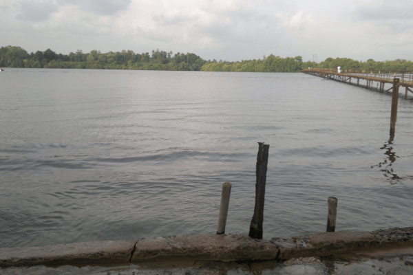 Madu River benthota - elanka