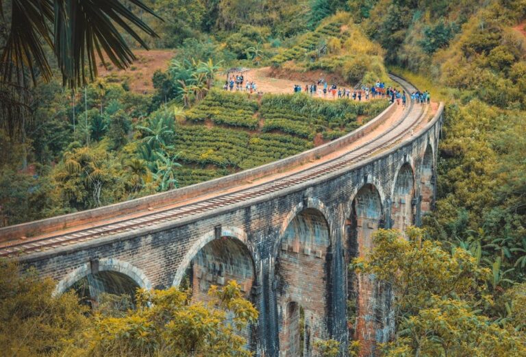 Special Vistas For Tourists in Sri Lanka Today-by  Michael Roberts