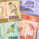 Sri Lankan Rupee