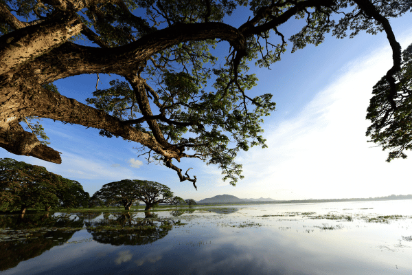 Thissamaharamaya lake - elanka