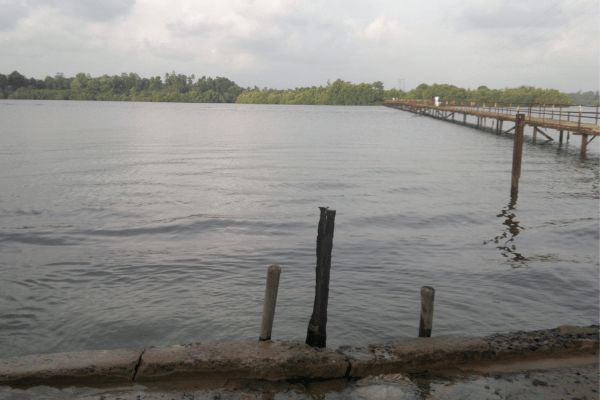 Ambalangoda Madu River - elanka
