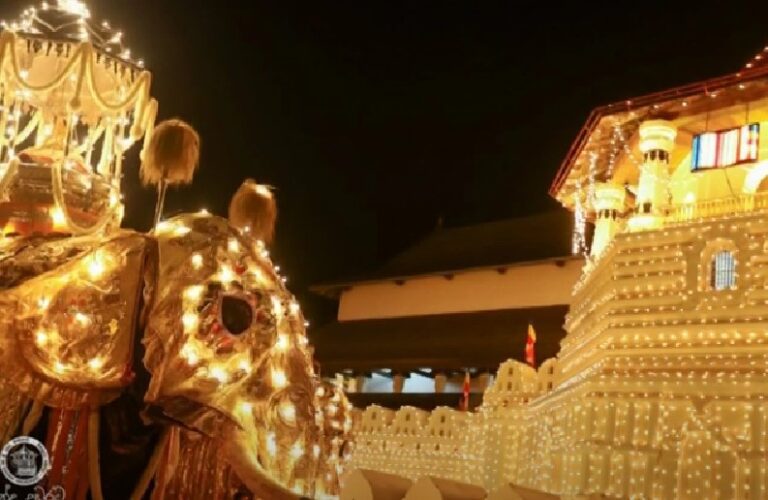 The Splendor of Kandy Esala Perahera: Sri Lanka’s Magnificent Festival of Light-eLanka-by Kalani