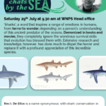 SHARKS OF SRI LANKA (PART 2) at WNPS Head Office – by Rex I. De Silva (Saturday 29 July 2023) (Sri Lanka – Colombo event)