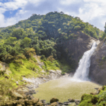 ජීවමාන සංස්කෘතියක උරුමය සුරැකි පුරවරය. - By ආචාර්ය ගාමිණී කාරියවසම්.