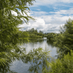 malwathu oya - elanka