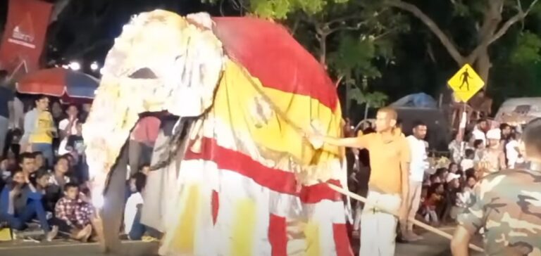 Anuradhapura Dalada Perahara today-by Nimal Wijesinghe