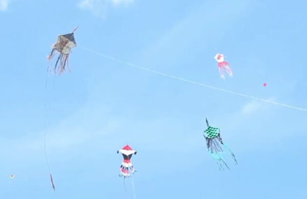 Kite Festival 01-eLanka